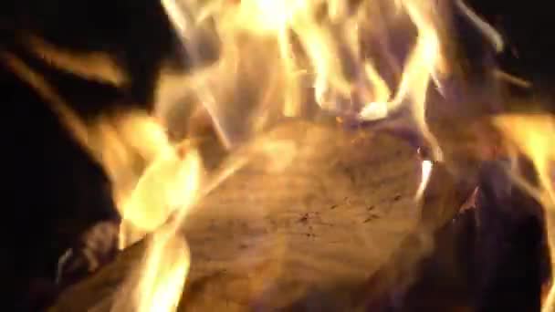 Flamme Feu Brûlante Les Lettres Les Documents Les Manuscrits Livres — Video