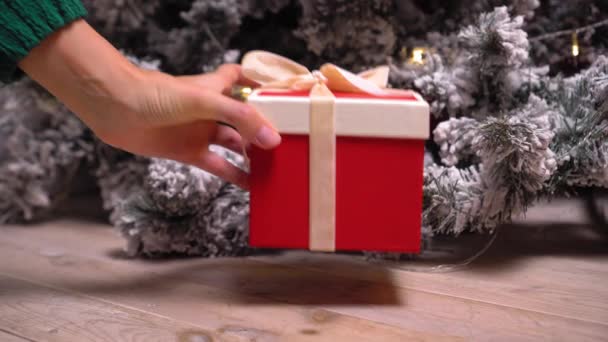 Samimi Süveter Giyen Kadının Elleri Arka Plandaki Işıklandırmalı Noel Ağacına — Stok video