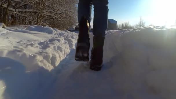 穿着黑色皮靴穿着蓝色牛仔裤在雪地里行走的女人的腿 走到外面的乡村 房子在远处看得见 相机拍摄尽可能低的 低跟踪点 — 图库视频影像