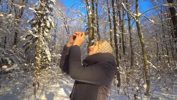 冬の森の中で新鮮な空気でハイキング中の若いブロンドの白人女性 素晴らしい自然や森のスマートフォンで写真を撮ります 活動中の女の子は幸せに暮らしています 晴れた霜の多い天気 — ストック動画