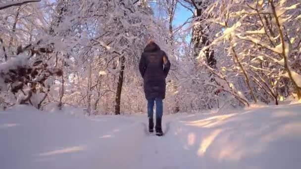 Šťastná Mladá Žena Kabátě Džínách Běhá Baví Zimním Parku Nebo — Stock video