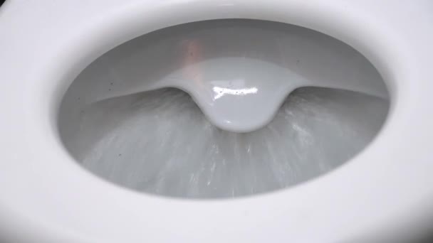 Flush Toilet Water Flushes Toilet Flow Water Clearly Visible Water — Wideo stockowe