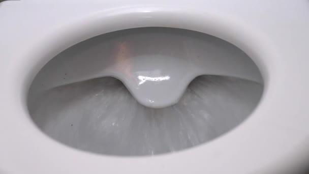 Flush Toilet Water Flushes Toilet Flow Water Clearly Visible Water — Vídeo de Stock