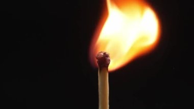 Closeup Match burning and combusting on black background. Match lights up in slow motion arbitrarily from burning air or temperature. No traces of arson. Spontaneous combustion of sulfur .