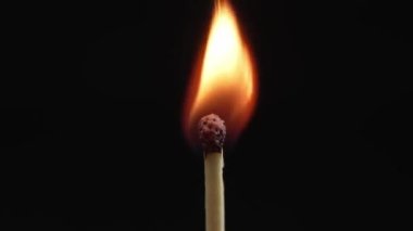 Closeup Match burning and combusting on black background. Match lights up in slow motion arbitrarily from burning air or temperature. No traces of arson. Spontaneous combustion of sulfur .