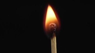 Closeup Match burning and combusting on black background. Match lights up in slow motion arbitrarily from burning air or temperature. No traces of arson. Spontaneous combustion of sulfur .