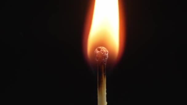 Closeup Match Burning Combusting Black Background Match Lights Slow Motion — Stockvideo