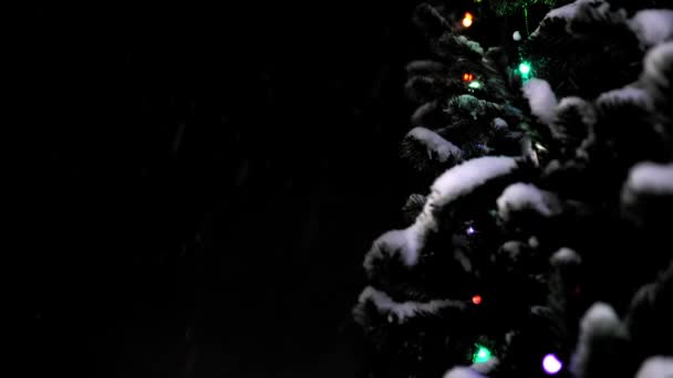 在降雪和漆黑夜空的背景下 圣诞树的底部视图 平安夜和除夕夜 冷杉树 顶部闪烁着雪花 美妙的气氛 — 图库视频影像