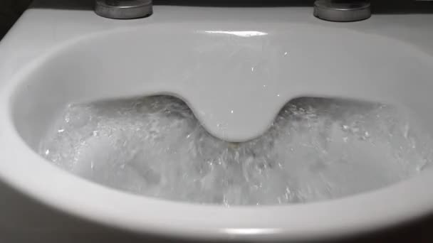 Close Toilet Flushing Toilet Water Flush Close Toilet Flushing White — Vídeos de Stock