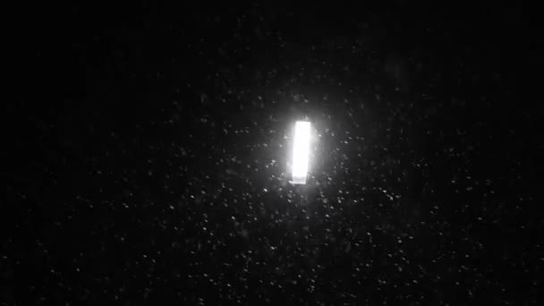 冬の夜 街中のモダンな街灯で雪がバックライトされます 公園の明るい光に照らされた雪の結晶 雪の嵐と強い突風 — ストック動画