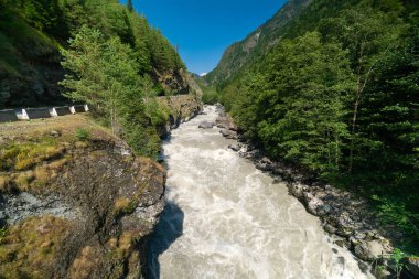 Powerful mountain river among a mountain gorge with green trees on a sunny bright day. Stunning mountain landscape with a swirling river, Svaneti, Georgia