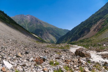 Güneşli bir günde, Gürcistan 'ın Mestia şehrinde Chalaadi buzulu yakınlarında güzel bir dağ. Nehirli, ağaçlı, dağlı dağ manzarası.