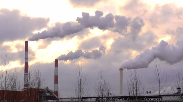 Zimní Průmyslová Krajina Uhelná Elektrárna Kouřícími Komíny Proti Dramatickému Západu — Stock video