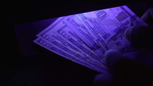 Weiche Konzentration Auf Dollar Banknoten Unter Licht Porträt Von Benjamin — Stockvideo