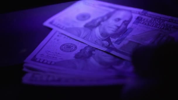 Ultraviyole Işık Altında Dolar Banknotuna Odaklanın Benjamin Franklin Portresi Incelendi — Stok video