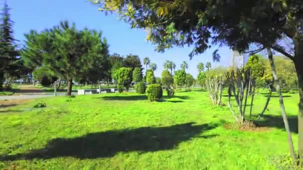 Cityscape Public Park Bright Sun Day Flight Drone Design Arbore — Videoclip de stoc