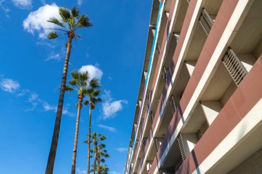 Güneşli bir günde bulutlu mavi gökyüzüne karşı palmiye ağaçları ve beton balkonların alt manzarası