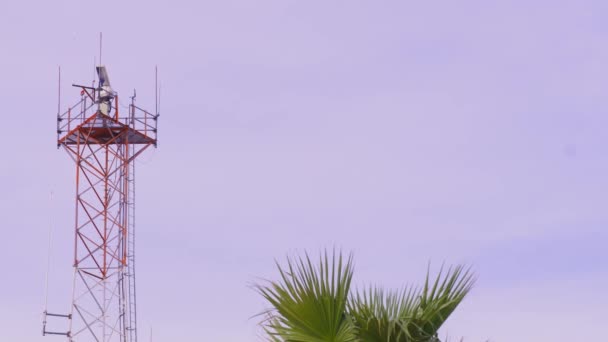레이다 시스템 관제탑의 레이더 구름낀 여름철 레이더 관측소를 날아다니며 야자수를 — 비디오
