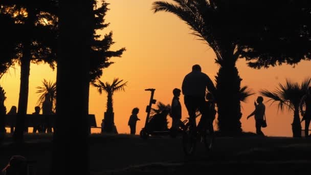 일출을 배경으로 사람들의 실루엣입니다 공원이나 야자수가 해변에 휴양지에서 걷는다 이국적 — 비디오