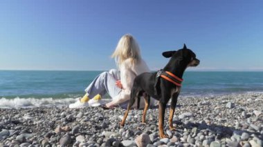 Küçük köpeği Oyuncak Terrier ile sahilde oturan genç bir kadın. Arkadaşlık kavramı - kadın ve köpek sahilde birlikte oturur ve deniz ve okyanusun arka planına karşı hafta sonunun ve harika günün tadını çıkarırlar..