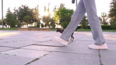 Kot pantolonlu genç bir kadının şehir parkında sevimli köpeğini gezdirişinin yavaş çekim görüntüleri. Yolu, yeşil çimenleri, ağaçları, kotu ve ayakkabıları görebilirsin..