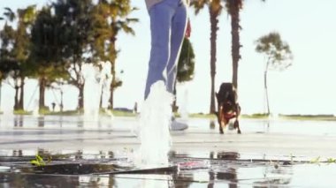 Küçük siyah köpeği Toy Treyer ile fıskiyelerin ve gün batımlarının önünde parkta yürüyen genç bir kadın. Yürüyorlar ve eğleniyorlar. Egzotik palmiye ağaçları ve denizde gün batımına karşı.