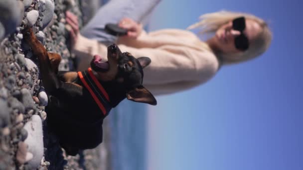 Jovem Mulher Sentada Praia Com Seu Cachorrinho Toy Terrier Concept — Vídeo de Stock