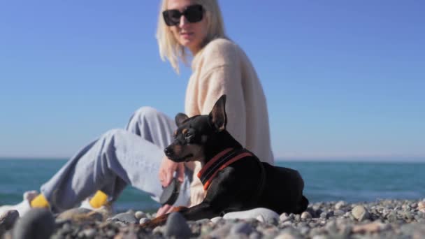 Giovane Donna Seduta Sulla Spiaggia Con Suo Piccolo Cane Giocattolo — Video Stock