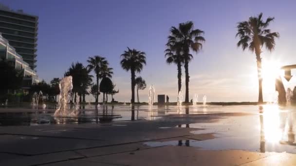 Tourist Place Embankment Resort Town Batumi Georgia Beat Fountains Background — Stock Video