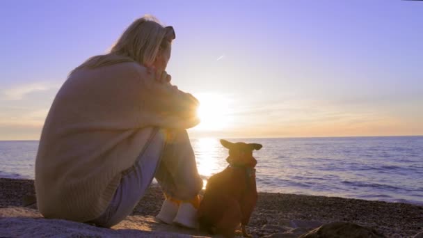 Genç Güzel Bir Kadın Deniz Kenarında Kayalarda Oturuyor Köpek Yavrusu — Stok video