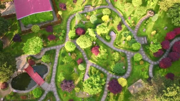 Drone Latał Parku Nazwie Japanese Garden Batumi Georgii Park Udogodnienia — Wideo stockowe
