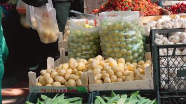 Çiftçi pazarında yeni bahar patates hasadı. Hasat mevsiminde sebze ve meyve pazarı. Alıcı patatesleri alıp torbaya koyar..