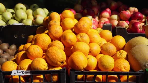 Laranjas Frescas Caixas Mercado Local Alimentos Livre Armazém Grossista Frutas — Vídeo de Stock