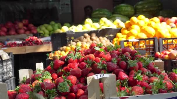 네덜란드 시장에서 딸기가 수확된다 수확기에 — 비디오