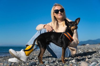 Güneş gözlüklü mutlu genç sarışın kadın güneşli bir günde deniz kıyısında oturuyor ve siyah ve bronz tenli Rus oyuncak teriyer köpeğiyle oynuyor. Bir köpekle bir adam arasındaki arkadaşlık..