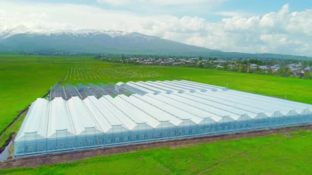 Виу Беспилотника Теплиц Выстроились Ряд Покрытые Белой Пленкой Выращивания Овощей — стоковое видео