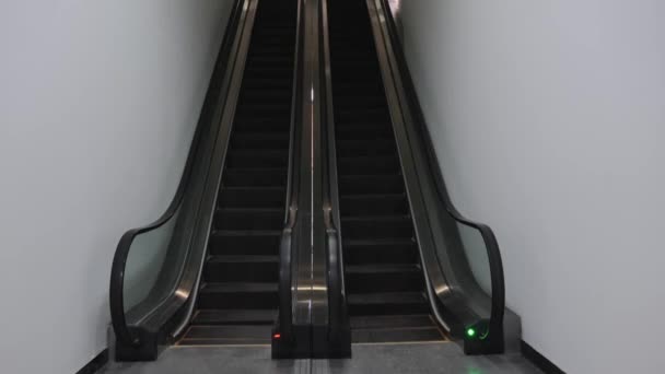 Eskalator Kosong Atau Tangga Bergerak Juga Disebut Tangga Tangga Desain — Stok Video