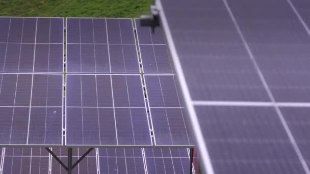 青い太陽光発電パネル きれいな緑の電力の生産 再生可能エネルギー生産の概念 パネル 太陽光発電 代替電源 持続可能な資源の概念 — ストック動画