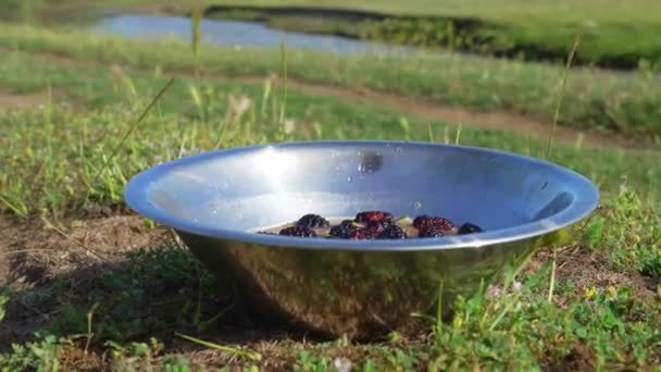 Breakfast Journey Stainless Steel Metal Bowl Camping Utensils Oatmeal Made — Stock Video
