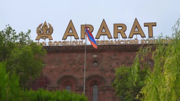 Ereván Armenia Mayo 2023 Una Joven Sonriente Compra Cóctel Hielo — Vídeos de Stock
