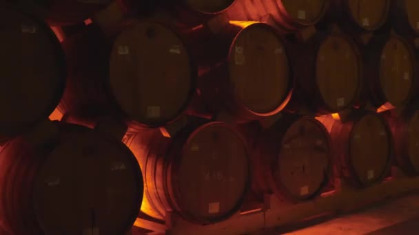 ワイナリーのセラーでワインやコニャック樽 展望の木のワイン樽 ワイン ヴォールト クラフトビールやブランデーのヴィンテージオーク樽 — ストック動画
