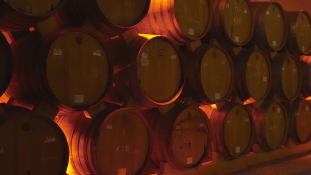 Wijn Cognac Vaten Kelder Van Wijnmakerij Houten Wijnvaten Perspectief Wijnkluizen — Stockvideo