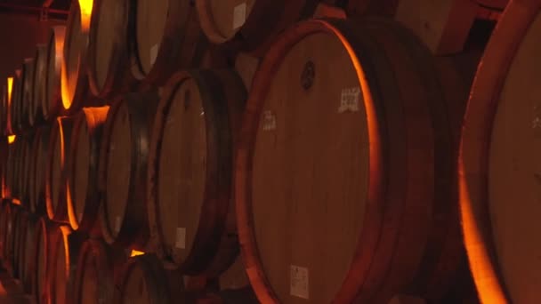 Wein Oder Cognacfässer Keller Der Bodega Holzfässer Der Perspektive Weinkeller — Stockvideo