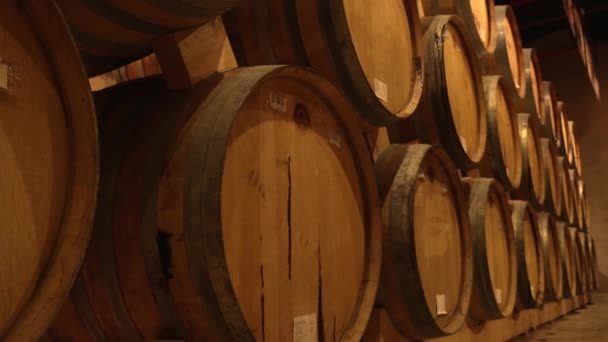 Şarap Mahzeninde Şarap Konyak Fıçıları Perspektif Olarak Ahşap Şarap Fıçıları — Stok video
