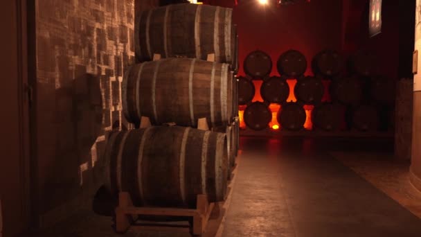 葡萄酒或白兰地桶在酒窖里 伍登葡萄酒桶在远景中 老式橡木桶 工艺啤酒或白兰地 — 图库视频影像