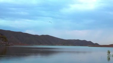 Ermenistan 'daki büyük göl üzerinde uçan kuş - Azat rezervuarı. Rocky Dağları 'ndaki bataklık vadisi. Aktif ve ekolojik turizm kavramı. Doğada sükunet ve rahatlama. günbatımı, huzur ve sükunet.