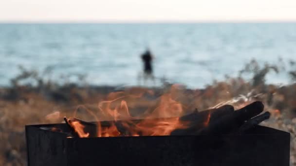 ビーチや海でのバーベキュー 中には火炎 バーベキュー グリルがあります 環境への配慮 地面に火をつけないで下さい — ストック動画