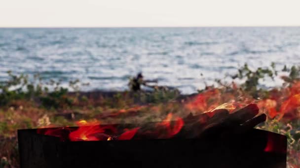 Барбекю Пляже Океане Внутри Пламя Огня Выходные Барбекю Гриль Забота — стоковое видео