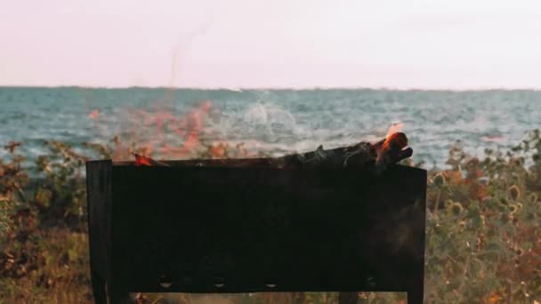 ビーチや海でのバーベキュー 中には火炎 バーベキュー グリルがあります 環境への配慮 地面に火をつけないで下さい — ストック動画