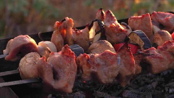 Shish Kebab Carne Verdure Forno Fritto Sul Carbone Alla Griglia — Video Stock